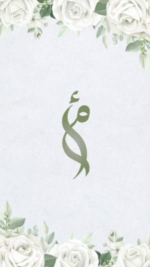 فيديو الزفاف 06